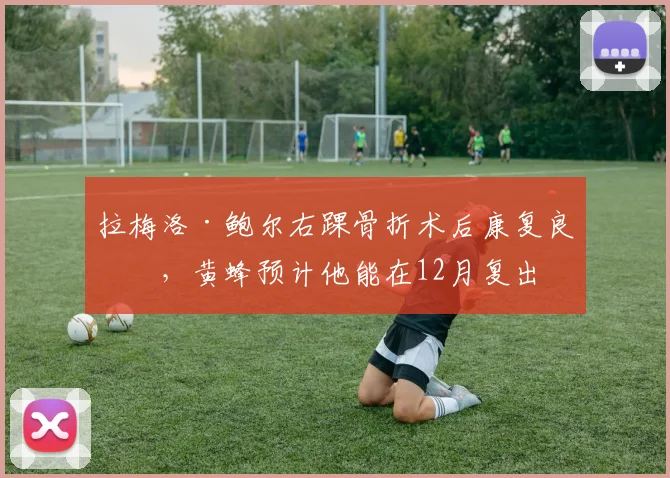 拉梅洛·鲍尔右踝骨折术后康复良好,黄蜂预计他能在12月复出