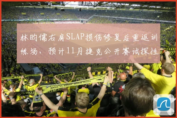 林昀儒右肩SLAP损伤修复后重返训练场,预计11月捷克公开赛试探性参赛